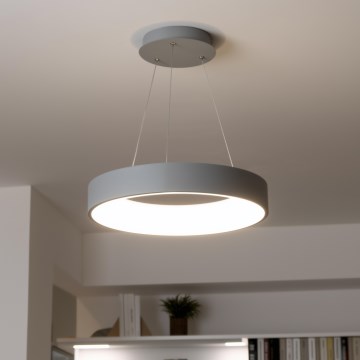 Brilagi - LED stmievateľný luster na lanku FALCON LED/40W/230V 3000-6500K pr. 45 cm sivá + diaľkové ovládanie