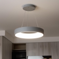 Brilagi - LED stmievateľný luster na lanku FALCON LED/80W/230V 3000-6500K priemer 60 cm sivá + diaľkové ovládanie
