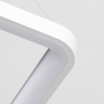 Brilagi - LED stmievateľný závesný luster na lankách FALCON SLIM LED/50W/230V 3000-6500K 50x50 cm biela + diaľkové ovládanie