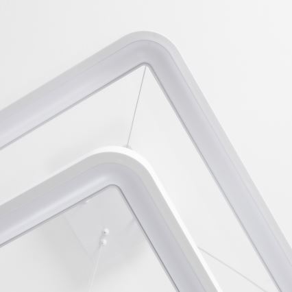 Brilagi - LED stmievateľný luster na lane FALCON SLIM LED/78W/230V 3000-6500K 50x50 cm biely + diaľkové ovládanie