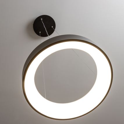 Svietidlo v tvare kruhu svieti pod stropom. Je zavesené na tenkých kábloch. Strop je svetlosivý.