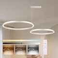 Brilagi - LED stmievateľný luster na lanku PORTOFINO LED/98W/230V 3000-6000K strieborný + diaľkové ovládanie