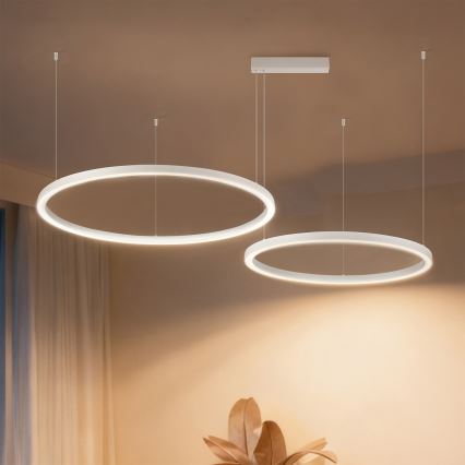 Brilagi - LED stmievateľný luster na lane PORTOFINO LED/98W/230V 3000-6000K biela + diaľkové ovládanie