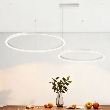 Brilagi - LED stmievateľný luster na lane PORTOFINO LED/98W/230V 3000-6000K biela + diaľkové ovládanie