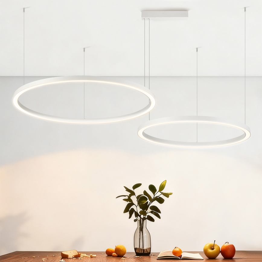 Brilagi - LED stmievateľný luster na lane PORTOFINO LED/98W/230V 3000-6000K biela + diaľkové ovládanie