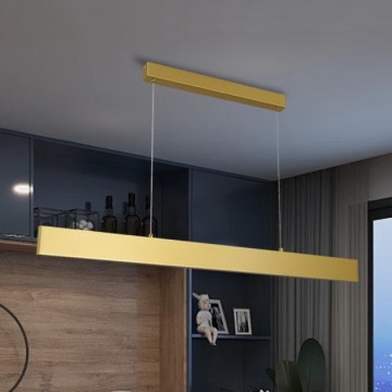 Brilagi - LED Stmievateľný luster na lanku SLIMLINE LED/40W/230V 3000-6000K zlatá + diaľkové ovládanie