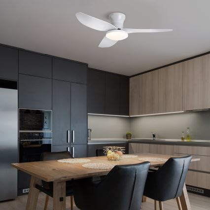 Brilagi - LED stropný ventilátor s možnosťou stmievania LED/30W/230V 3000-6500K biela + diaľkové ovládanie
