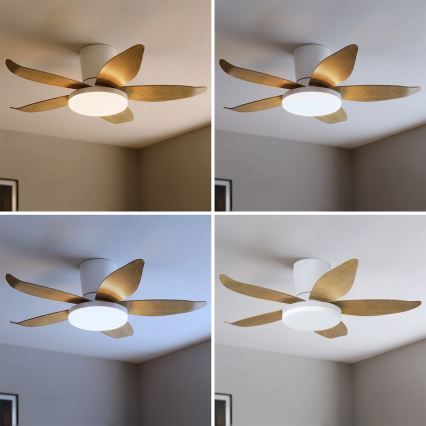 Brilagi - LED stmievateľný stropný ventilátor LED/32W/230V 3000-6500K priemer 95 cm biela/hnedá + diaľkové ovládanie