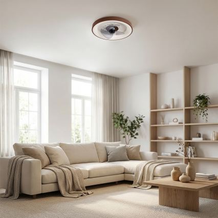 Brilagi - LED stmievateľný stropný ventilátor LED/34W/230V 3000-6500K pr. 46 cm hnedý + diaľkové ovládanie
