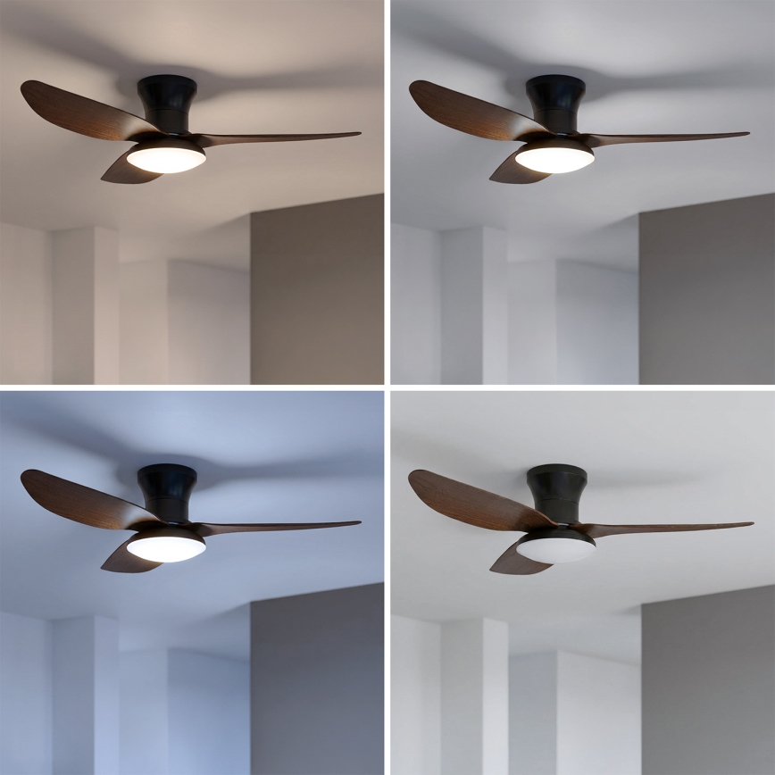 Brilagi - LED stmievateľný stropný ventilátor LED/38W/230V 100 cm čierna/hnedá + diaľkové ovládanie