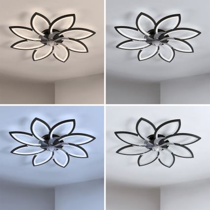 Brilagi - LED stmievateľný stropný ventilátor LED/43W/230V 3000-6500K pr. 90 cm čierna + diaľkové ovládanie