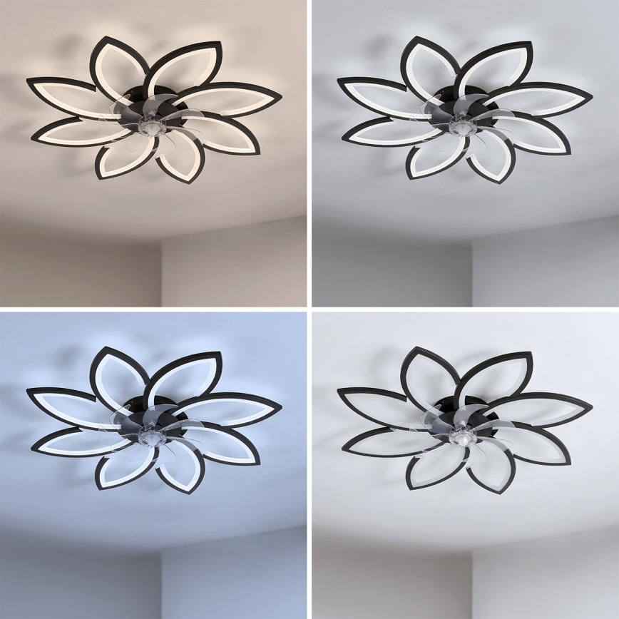 Brilagi - LED stmievateľný stropný ventilátor LED/43W/230V 3000-6500K pr. 90 cm čierna + diaľkové ovládanie