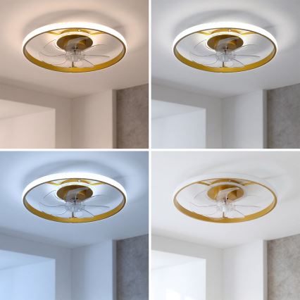 Brilagi - LED stmievateľný stropný ventilátor LED/66W/230V 3000-6500K pr. 55 cm biela/zlatá + diaľkové ovládanie