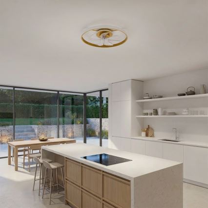 Brilagi - LED stmievateľný stropný ventilátor LED/66W/230V 3000-6500K pr. 55 cm biela/zlatá + diaľkové ovládanie