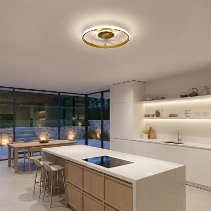 Brilagi - LED stmievateľný stropný ventilátor LED/66W/230V 3000-6500K pr. 55 cm biela/zlatá + diaľkové ovládanie