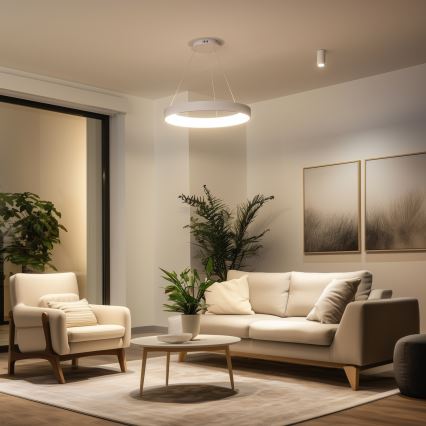 Brilagi - LED stmievateľný luster na lanku FALCON II LED/99W/230V 3000–6500K priemer 60 cm biela + diaľkové ovládanie