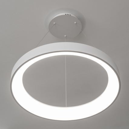 Brilagi - LED stmievateľný luster na lanku FALCON II LED/99W/230V 3000–6500K priemer 60 cm biela + diaľkové ovládanie