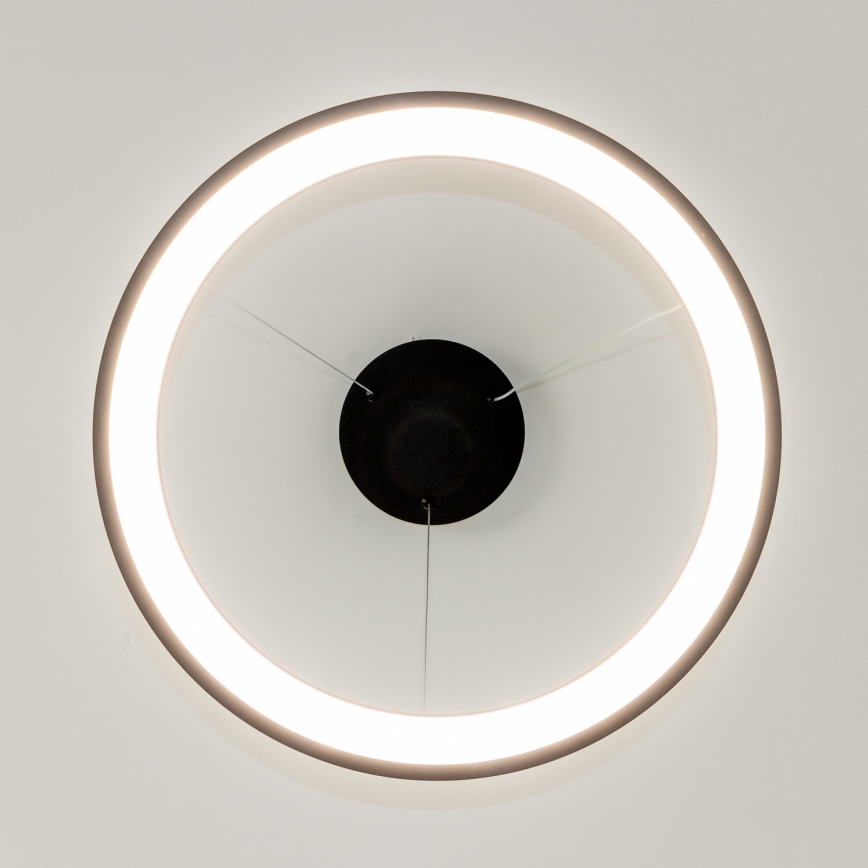 Brilagi - LED stmievateľný luster na lanku FALCON SLIM LED/42W/230V 3000-6500K pr. 50 cm čierny + diaľkové ovládanie