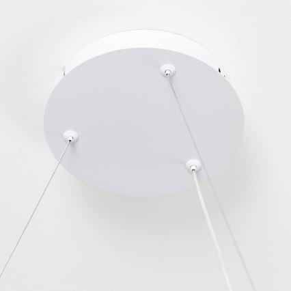 Brilagi - LED stmievateľný závesný luster FALCON SLIM LED/42W/230V 3000-6500K pr. 50 cm biela + diaľkové ovládanie