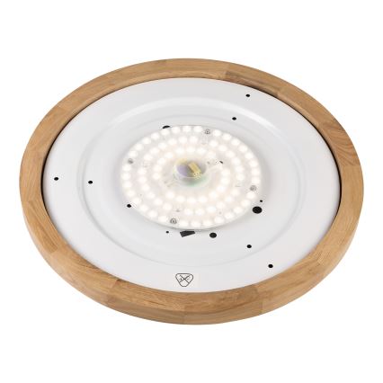 Brilagi - LED Stropná lampa BELLADONNA LED/36W/230V pr. 50 cm biela/dub