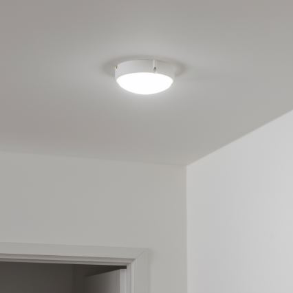 Brilagi - LED Stropné priemyselné svietidlo SIMA LED/12W/230V IP65 biela