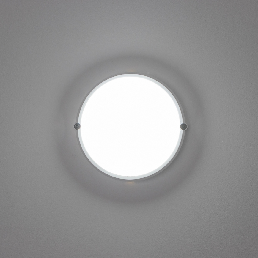 Brilagi - LED Stropné priemyselné svietidlo SIMA LED/12W/230V IP65 biela