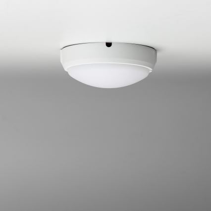 Brilagi - LED Stropné priemyselné svietidlo SIMA LED/12W/230V IP65 biela