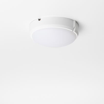 Brilagi - LED Stropné priemyselné svietidlo SIMA LED/12W/230V IP65 biela