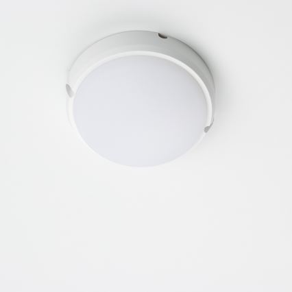 Brilagi - LED Stropné priemyselné svietidlo SIMA LED/12W/230V IP65 biela