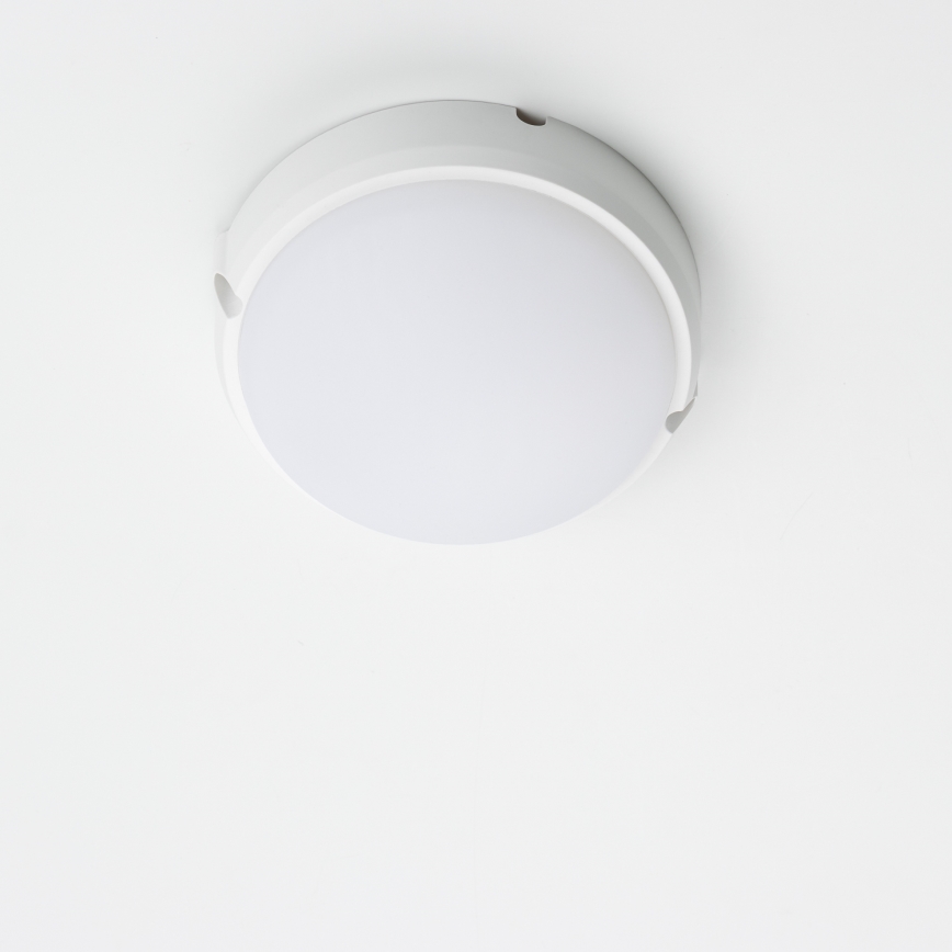 Brilagi - LED Stropné priemyselné svietidlo SIMA LED/12W/230V IP65 biela