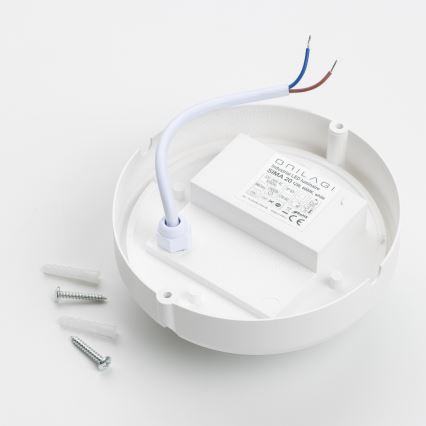 Brilagi - LED Stropné priemyselné svietidlo SIMA LED/12W/230V IP65 biela