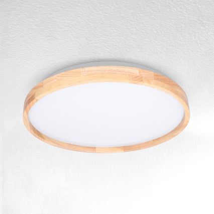 Brilagi - LED Stropné svietidlo ALSON LED/24W/230V dub