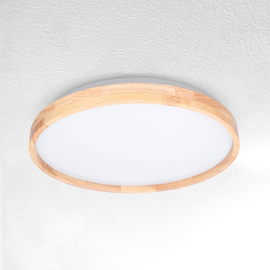 Brilagi - LED Stropné svietidlo ALSON LED/24W/230V dub