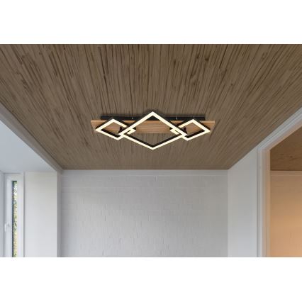 Brilagi - LED stropné svietidlo AXIS I LED/24W/230V