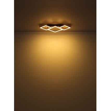 Brilagi - LED stropné svietidlo AXIS I LED/24W/230V