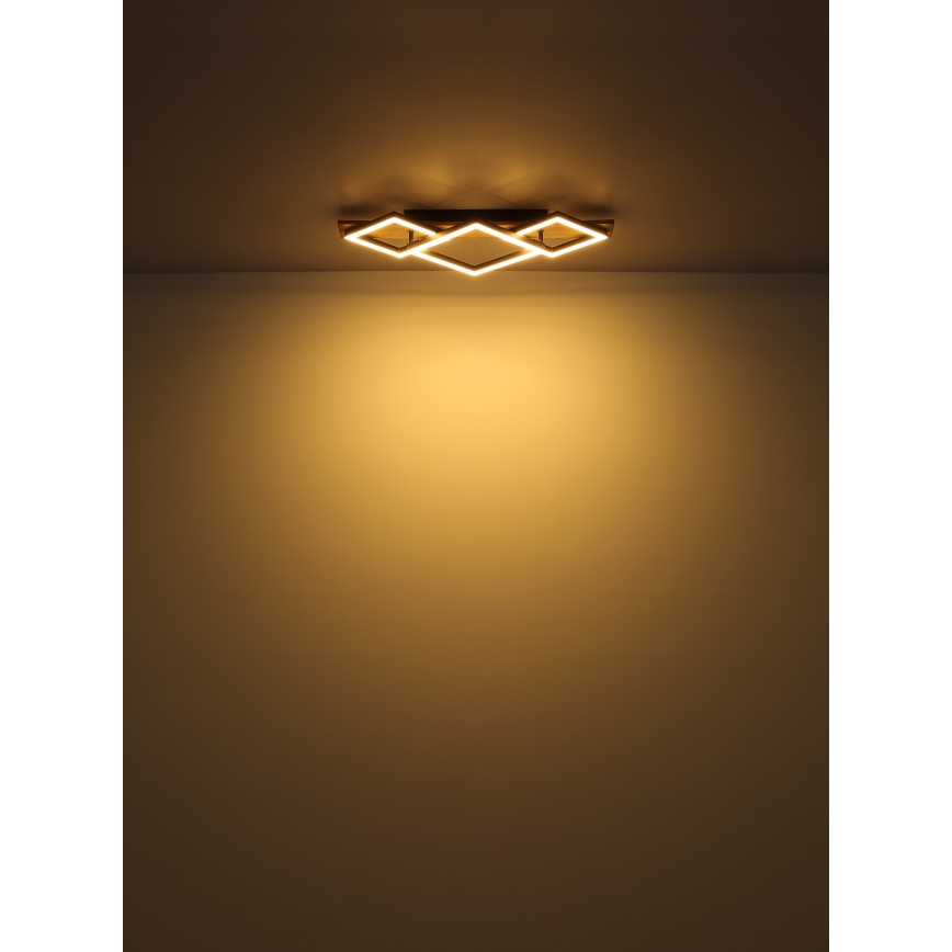 Brilagi - LED stropné svietidlo AXIS I LED/24W/230V