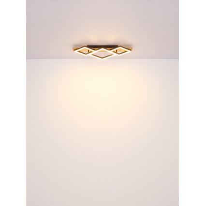 Brilagi - LED stropné svietidlo AXIS I LED/24W/230V