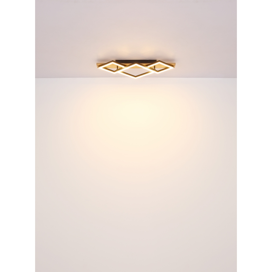 Brilagi - LED stropné svietidlo AXIS I LED/24W/230V