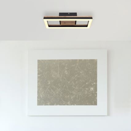 Brilagi - LED Stropné svietidlo AXIS LED/12W/230V