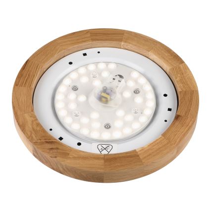 Brilagi - LED Stropné svietidlo BELLADONNA LED/20W/230V Ø 30 cm biela/dub