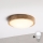 Brilagi - LED stropné svietidlo CARVALHO MODERN SLIM 1xE27/60W/230V pr. 27,5 cm dub