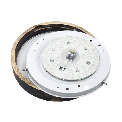 Brilagi - LED stropné svietidlo CARVALHO SLIM SMOKEY LED/20W/230V dub pr. 27,5 cm