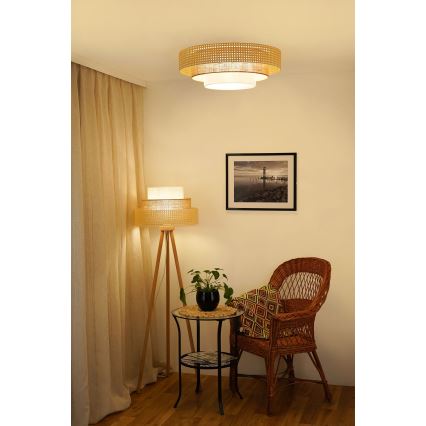 Brilagi - LED Stropné svietidlo CEDAR LUNETA LED/26W/230V béžová/hnedá/krémová