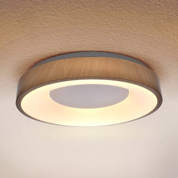 Brilagi - LED stropné svietidlo DORIA LED/24W/230V pr. 28,5 cm