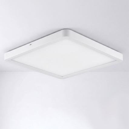 Brilagi - LED Stropné svietidlo ESTELA SQUARE LED/24W/230V 31x31 cm biela