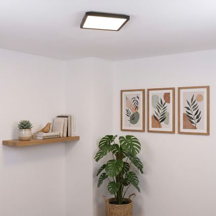 Brilagi - LED stropné svietidlo ESTELA SQUARE LED/24W/230V 31x31 cm čierna