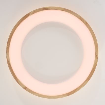 Brilagi - LED stropné svietidlo FALCON WOOD LED/40W/230V 3000/4000/6000K pr. 60 cm drevené