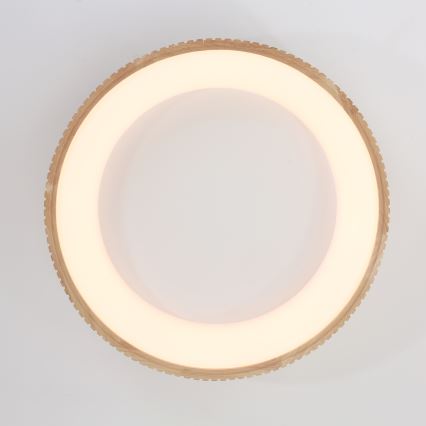 Brilagi - LED stropné svietidlo FALCON WOOD MODERN LED/40W/230V 3000/4000/6000K pr. 60 cm drevo