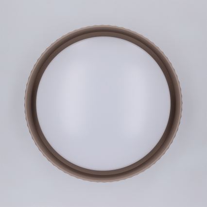 Brilagi - LED stropné svietidlo LUCIA LED/24W/230V pr. 31 cm hnedá
