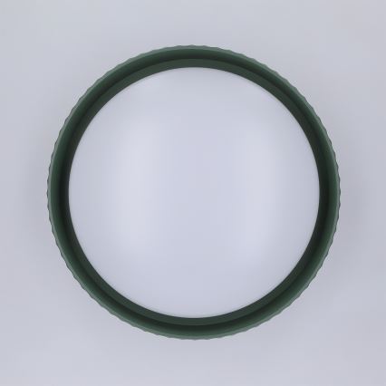 Brilagi - LED stropné svietidlo LUCIA LED/24W/230V priemer 31 cm zelené